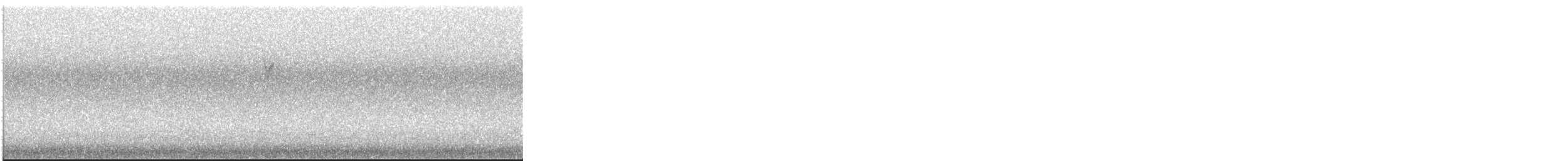 סבכון חכלילי - ML645178046