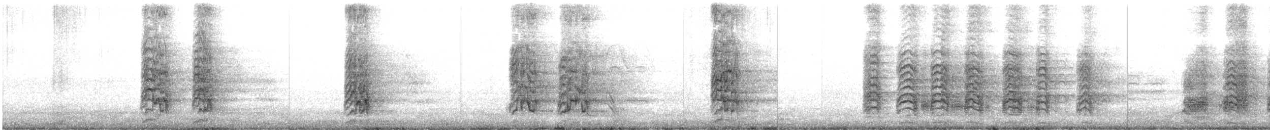 Cordilleran/Mitred Parakeet - ML645178175