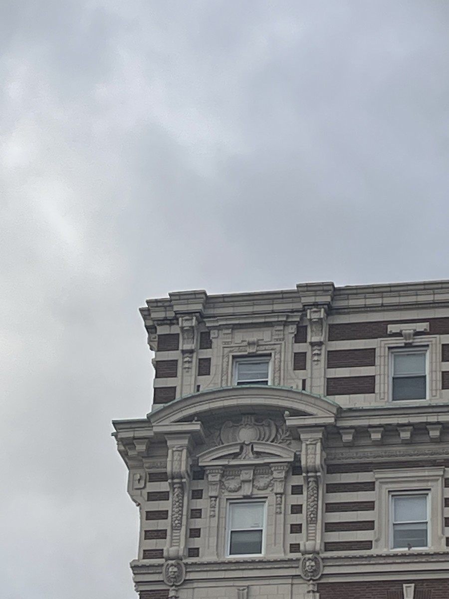 Peregrine Falcon - ML645178261