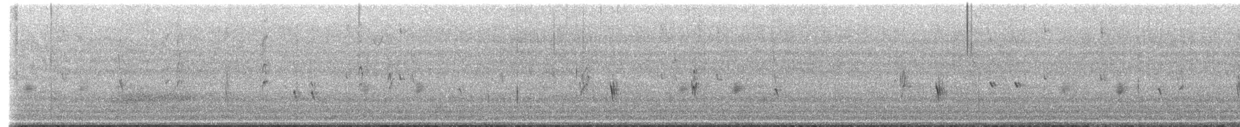 crossbill sp. - ML645178764