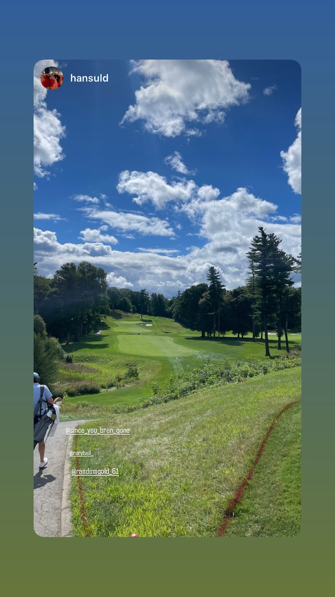 Itsas arrano buruzuria - ML645179134