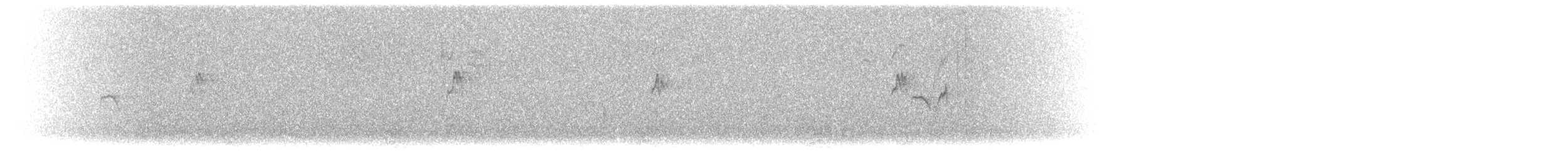 Water Pipit - ML645179368