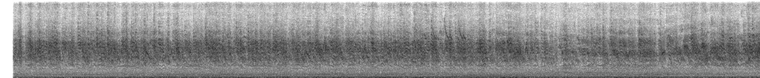 Gorrión Molinero - ML645179673