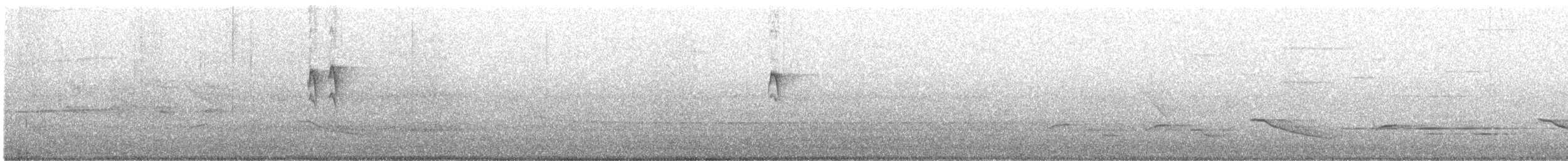 Estornino Pinto - ML645181319