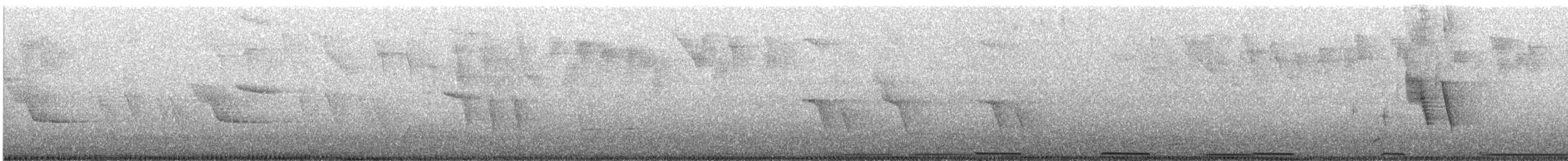 Zenaida Peruana - ML645181366