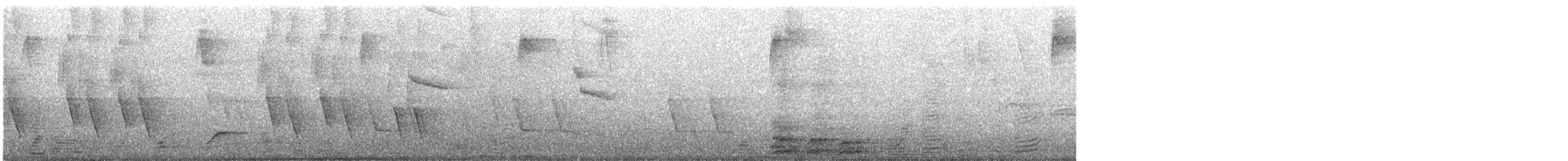 Amazilia Costeña - ML645181435