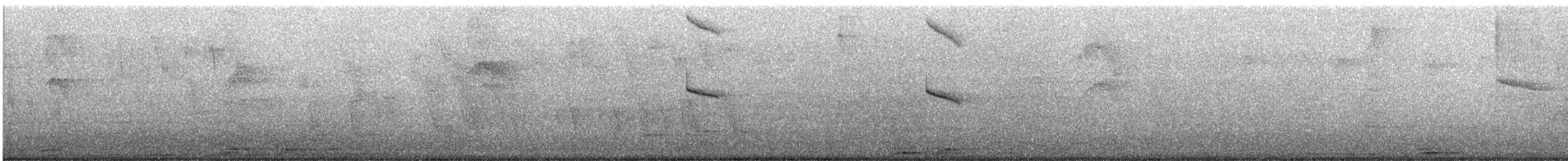 Amazilia Costeña - ML645181436