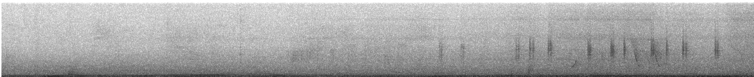 Chochín Criollo Sureño - ML645181525