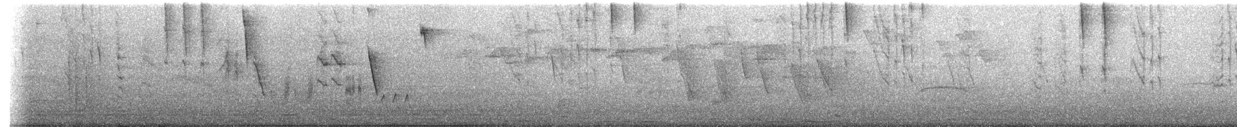 Chochín Criollo Sureño - ML645181526