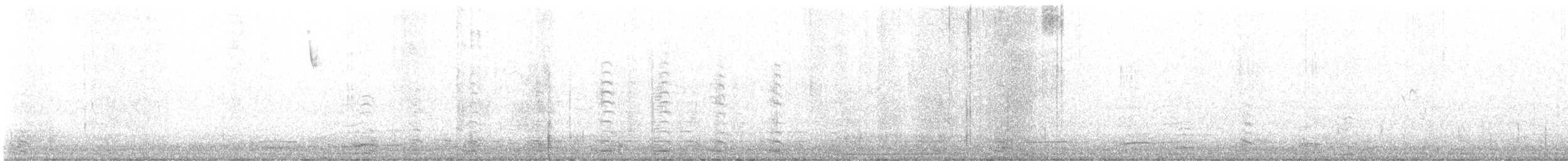 Chingolo Sabanero - ML645181530