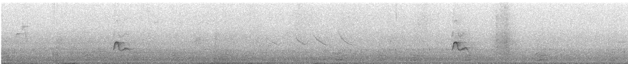 Fiofío Piquicorto - ML645181619