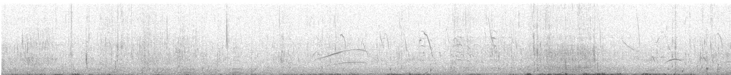 Cormorán Biguá - ML645181627