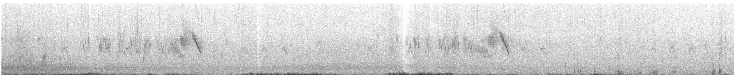 Golondrina Cejiblanca - ML645181664