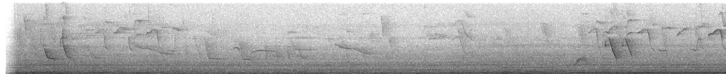 Tangara Azuleja (grupo cana) - ML645181677