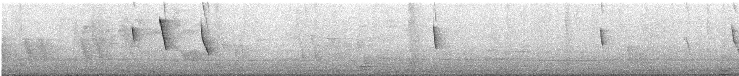 Tangara Azuleja (grupo cana) - ML645181678