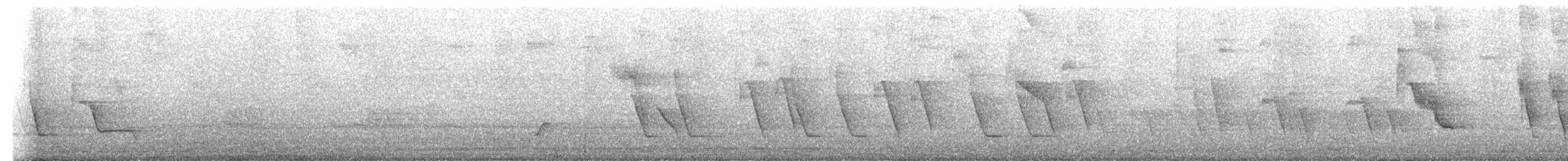 Zanate Matorralero - ML645181864