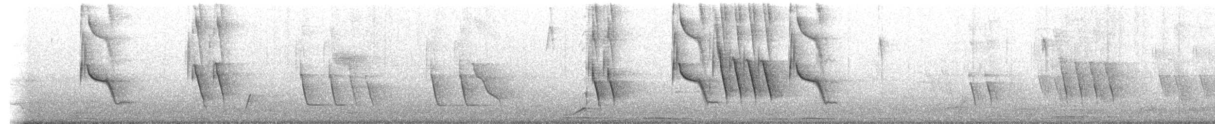 Zanate Matorralero - ML645181865