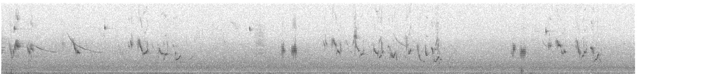 Golondrina Parda - ML645181897