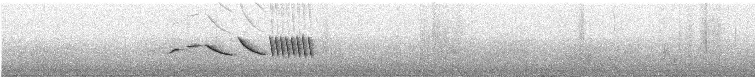 Chingolo Común - ML645181945