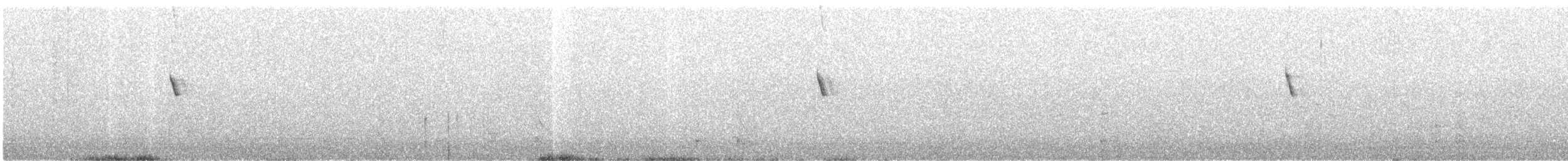 Chingolo Común - ML645181946