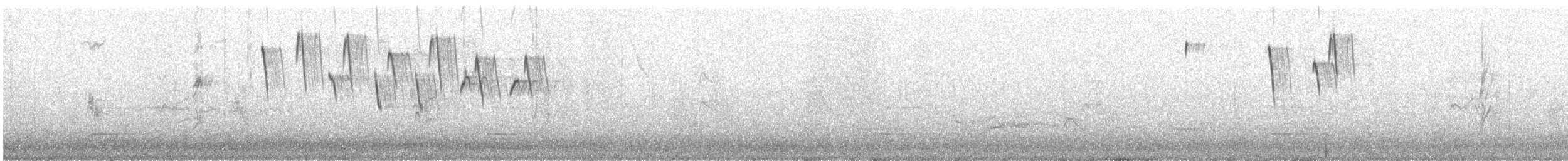 Chirigüe Azafranado - ML645181952