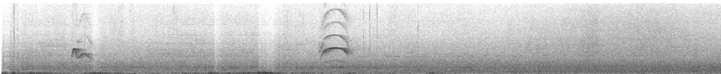 Fiofío Piquicorto - ML645182001