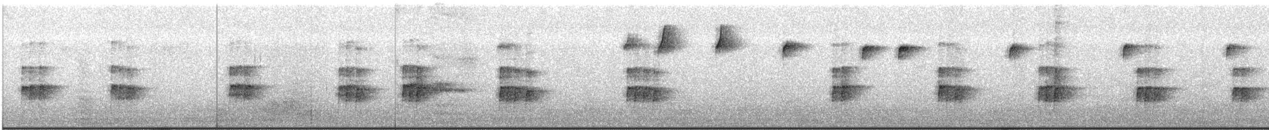 Cucarachero de Carolina - ML645182020