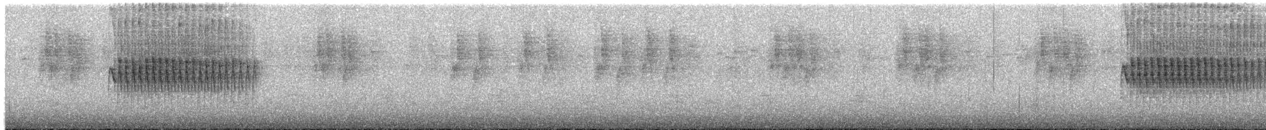 Pinchaflor Flanquiblanco - ML645184019