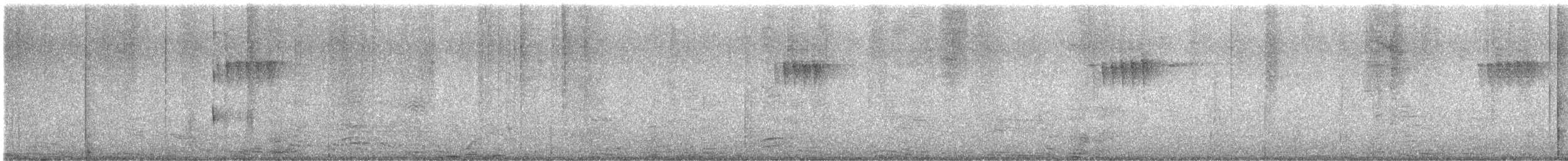 Peruvian Pygmy-Owl - ML645184369