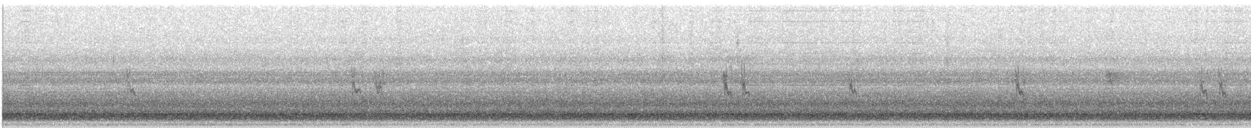 čečetka zimní - ML645184685