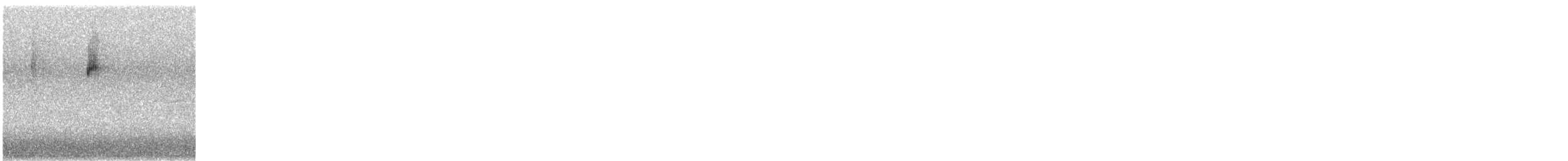 Northern Waterthrush - ML645184734