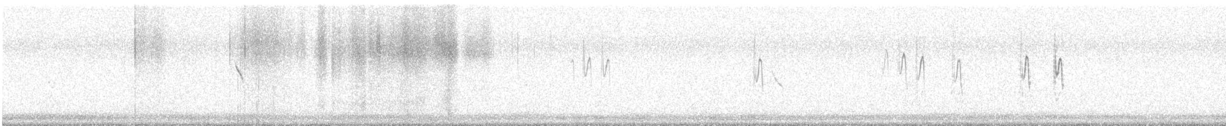 Sprague's Pipit - ML645184776