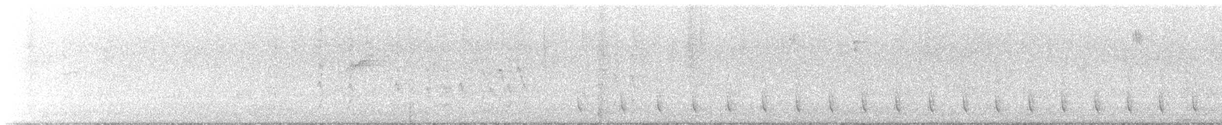 Southern White-fringed Antwren - ML645185059