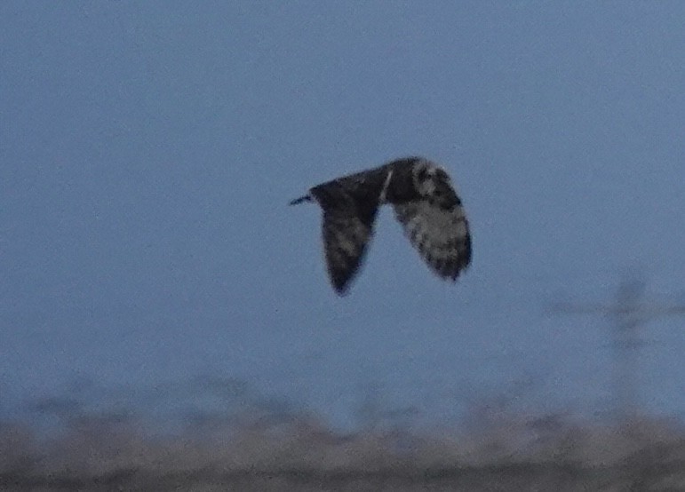 Zingira-hontza - ML645185259