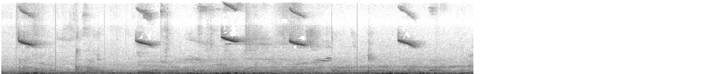 hummingbird sp. - ML645185271