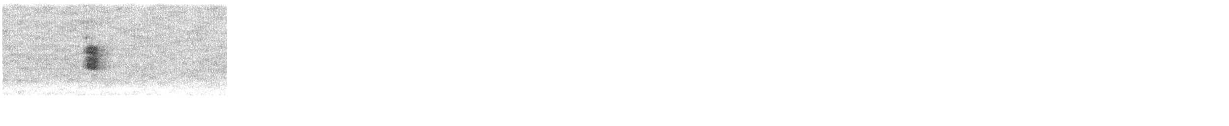 птица sp. - ML645185697