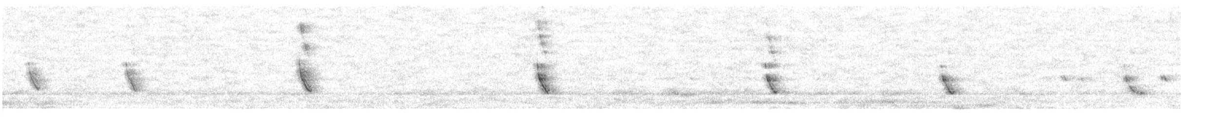 птица sp. - ML645185699