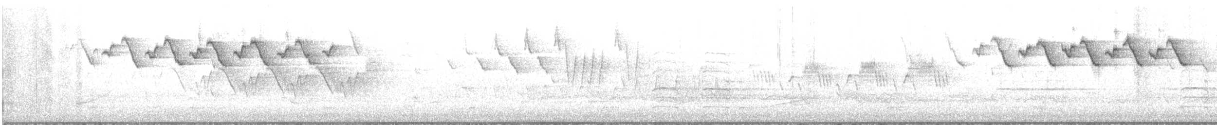 Black-and-white Warbler - ML645186569