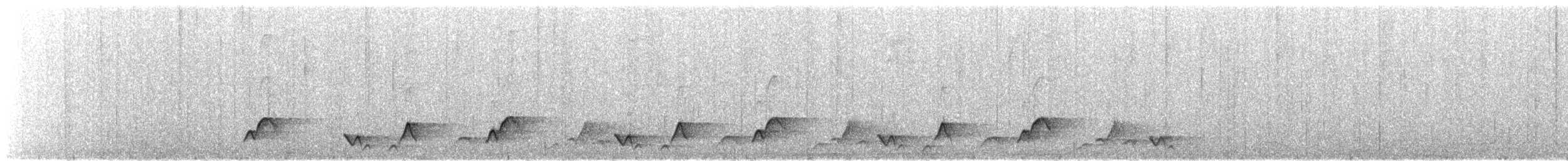 Kastanienrücken-Zaunkönig - ML645187362