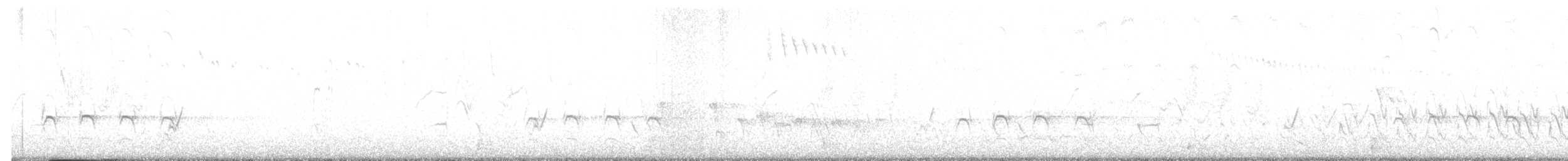 ヒジリショウビン - ML645187704