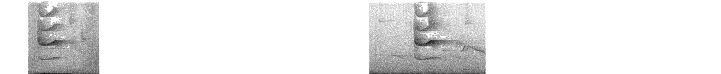 チャオビジアリドリ - ML645187705