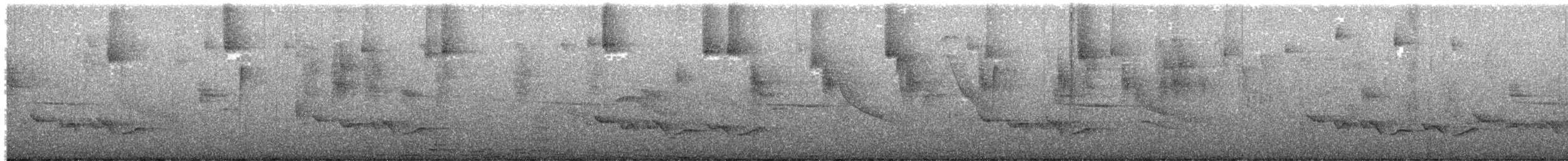 Black-billed Peppershrike - ML645187879