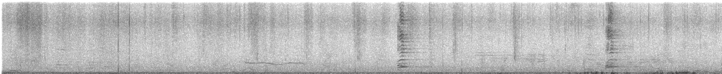 Nitticora - ML645188085