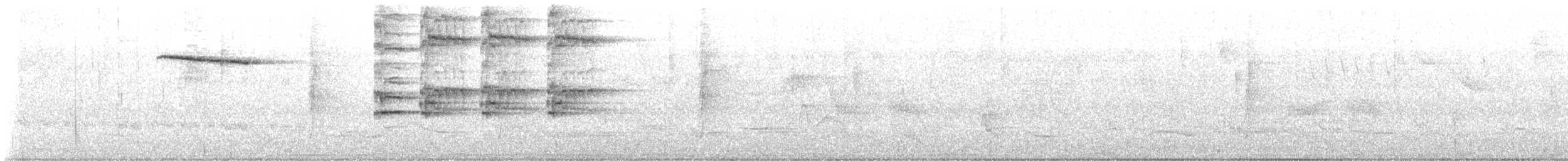 Blacksmith Thrush - ML645188217