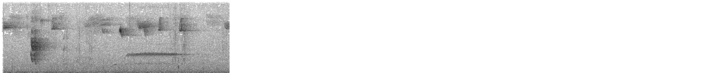 Spillmann's Tapaculo - ML645188313