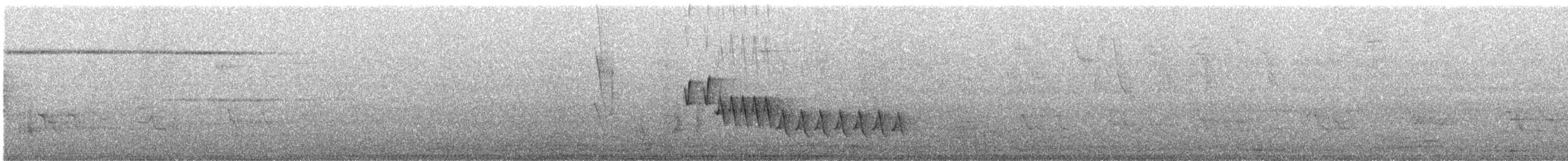 Southern House Wren - ML645189061