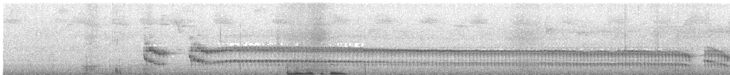 Ash-colored Tapaculo - ML645189186