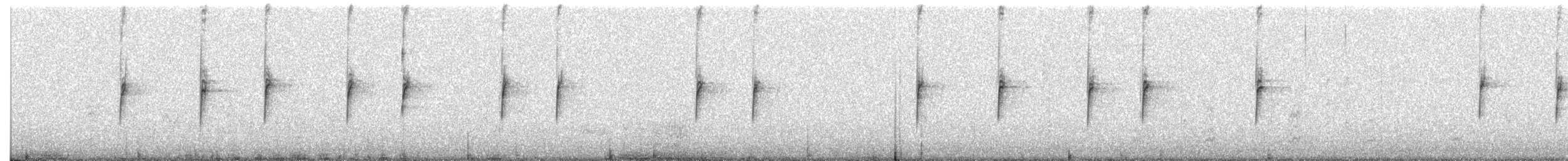 White-crowned Sparrow - ML645191134