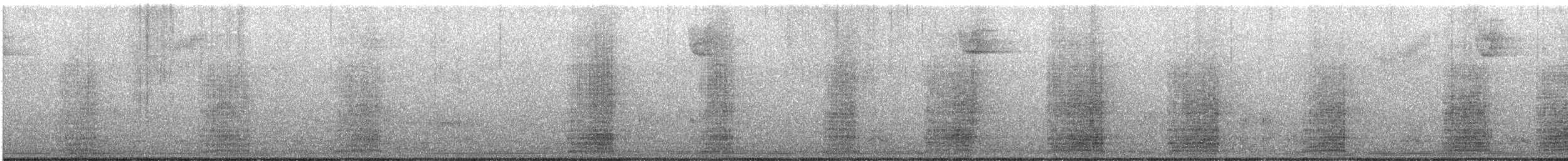 Koartza hauskara amerikarra - ML645191140