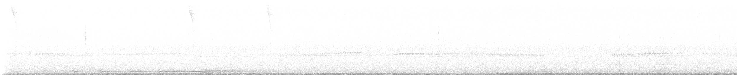 Barred Owl - ML645191405